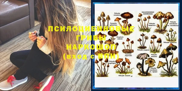 СК Нягань