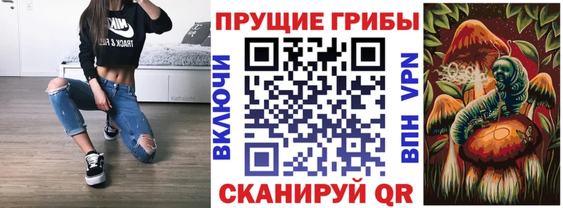 Псилоцибиновые грибы Psilocybe Красавино